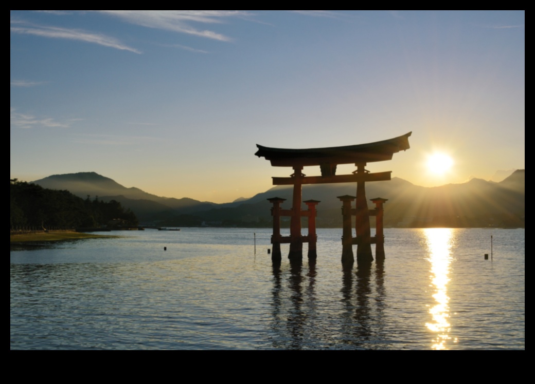 how to study abroad in japan