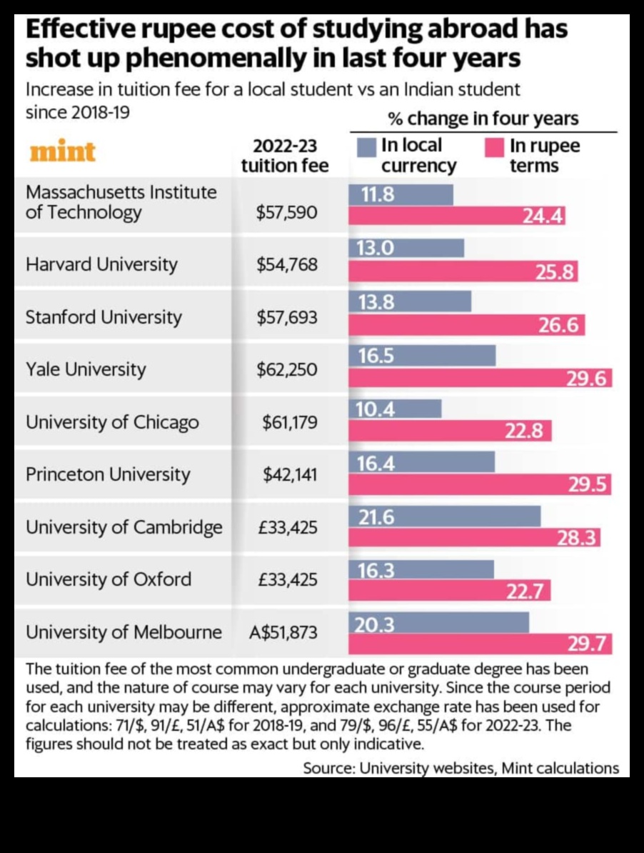 The High Cost of Studying Abroad 1